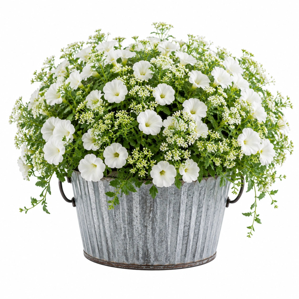 Jardinière fleurie 35 cm en métal galvanisé blanc style champêtre