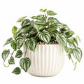 Plante verte artificielle en pot 45 cm feuillage vert panaché décoration intérieure