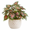 Plante artificielle en pot 50 cm feuillage vert rose décoratif