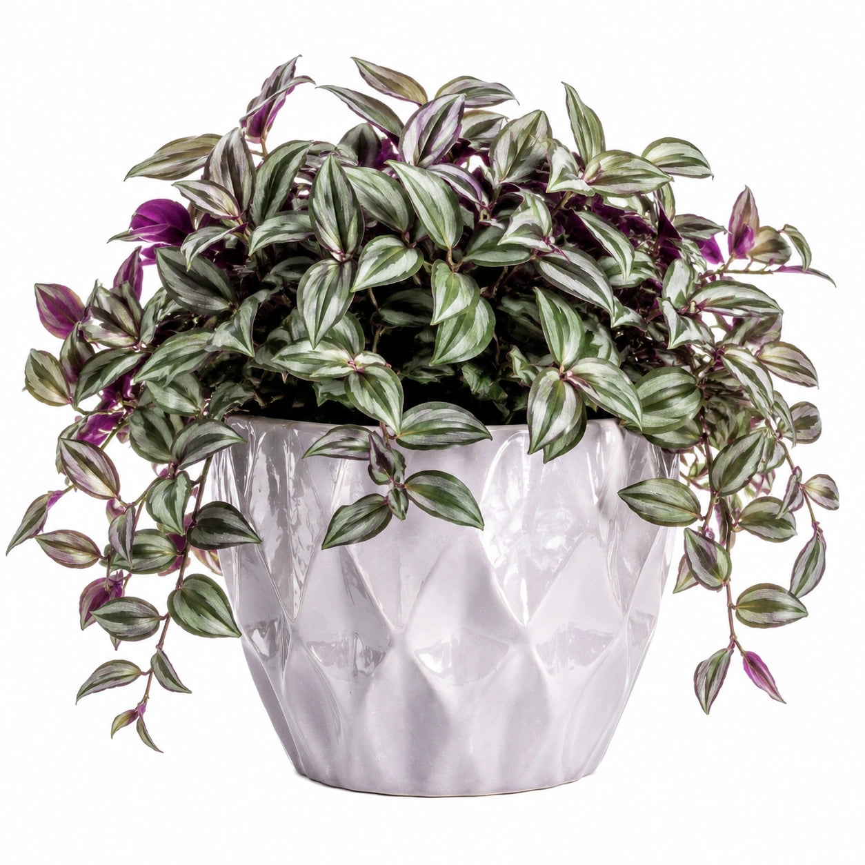 Plante artificielle retombante 35 cm feuillage plastique vert violet pot céramique décoratif
